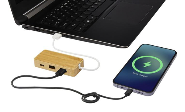 Tapas Bamboo USB Hub, Phone & Computer