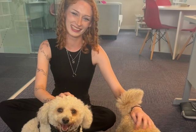 Photo of Saffron with two dog visitors to the office